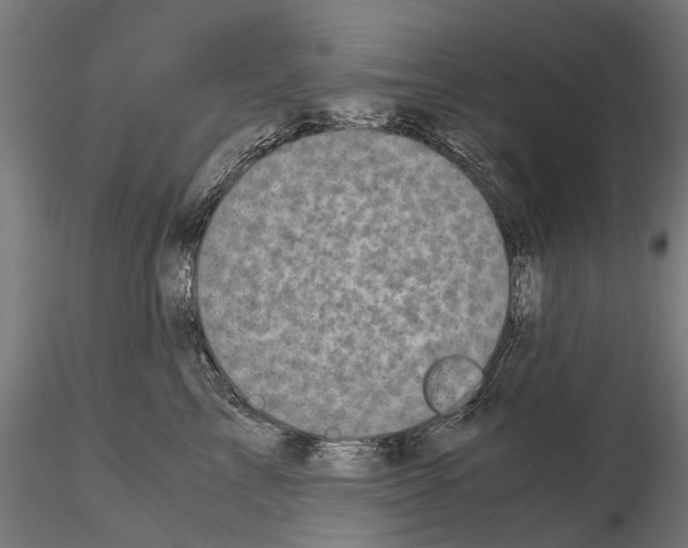 X0000115100713200912081259