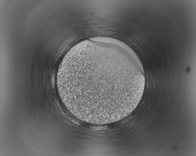 X0000115100716200912081259