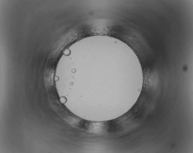 X0000115100717200912081259