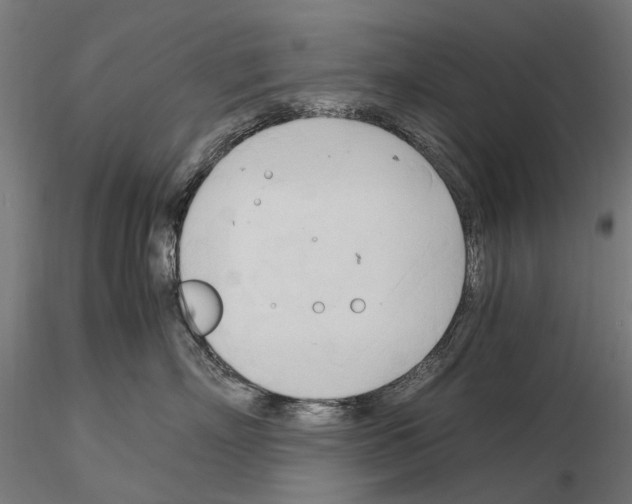 X0000115100718200912081259