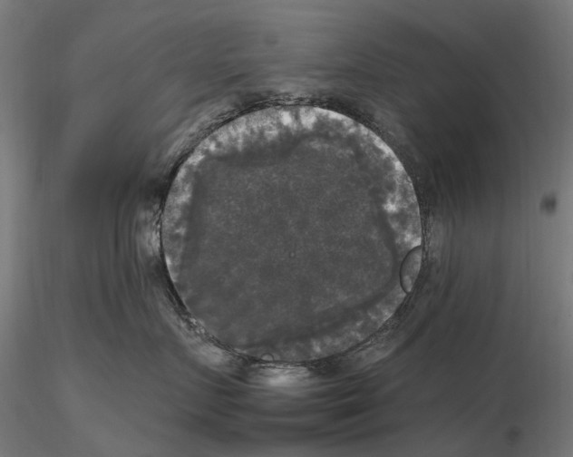 X0000115100719200912081259