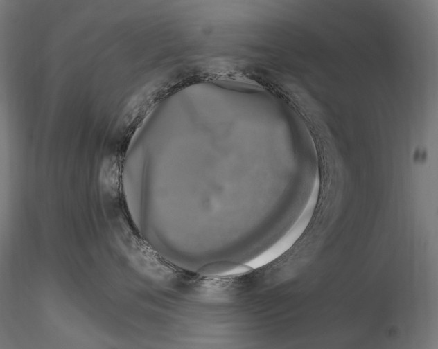 X0000115100720200912081259