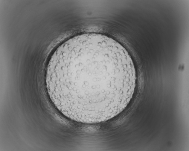 X0000115100721200912081258