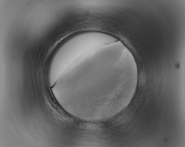 X0000115100722200912081258