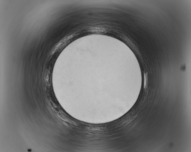 X0000115100723200912081258