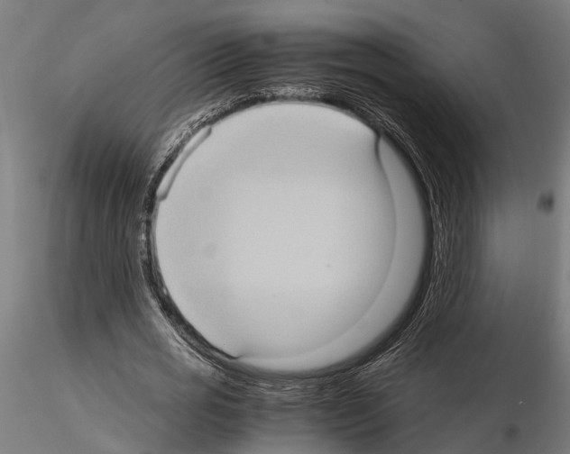 X0000115100725200912081258