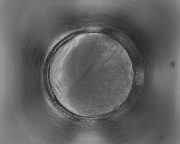 X0000115100726200912081258