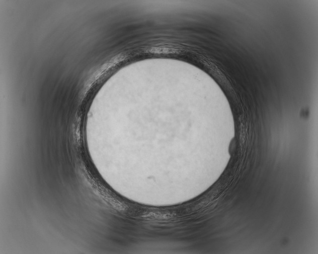 X0000115100727200912081258