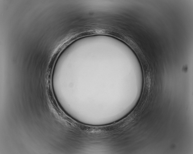 X0000115100730200912081258