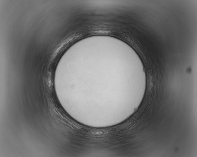 X0000115100731200912081258