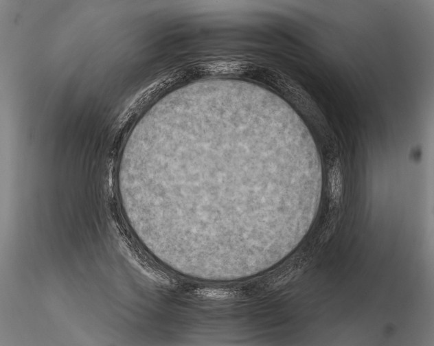 X0000115100733200912081258