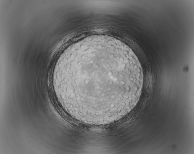 X0000115100734200912081258