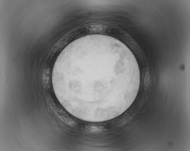 X0000115100737200912081258