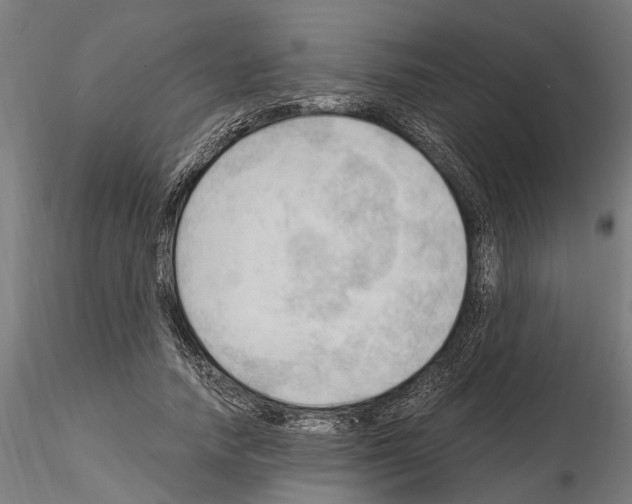 X0000115100738200912081258