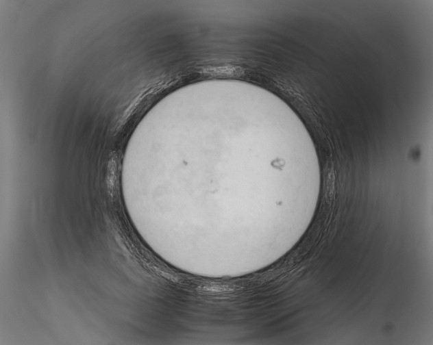 X0000115100739200912081258