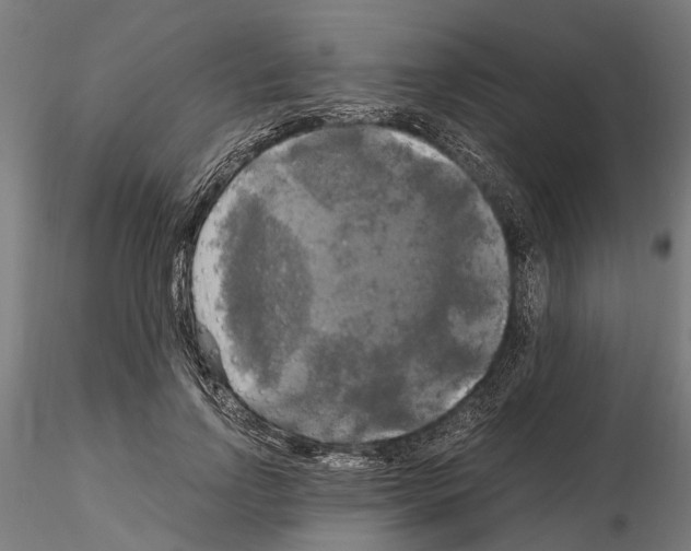 X0000115100742200912081258