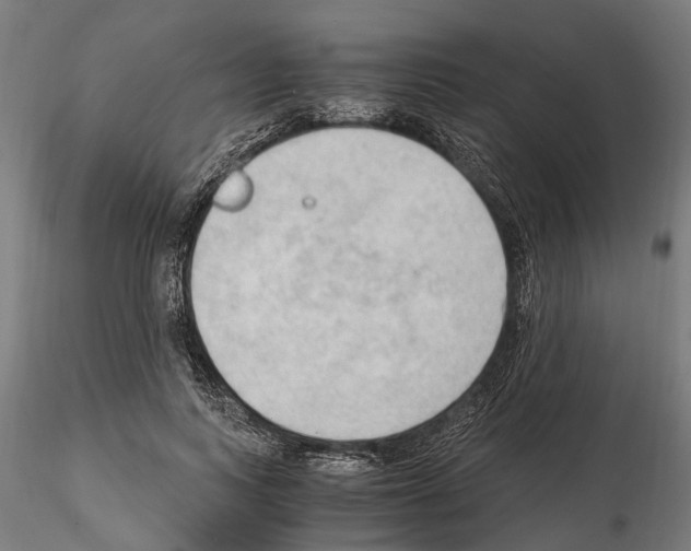 X0000115100743200912081258