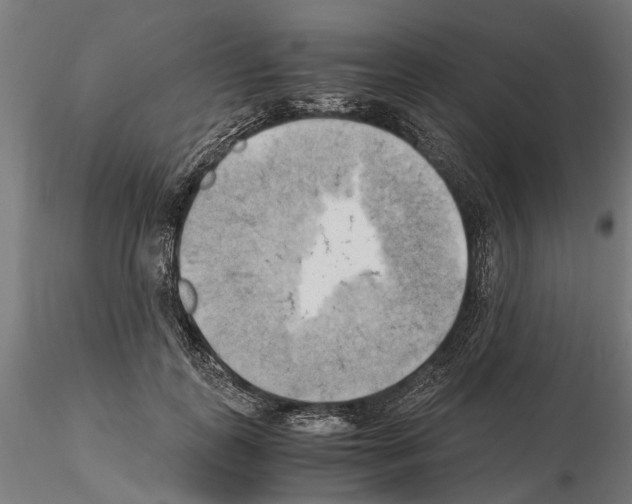 X0000115100747200912081258