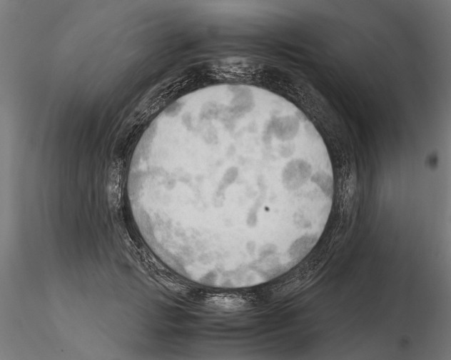 X0000115100749200912081258