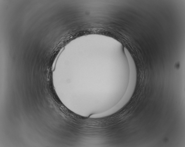 X0000115100750200912081258