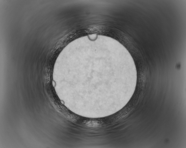 X0000115100751200912081258