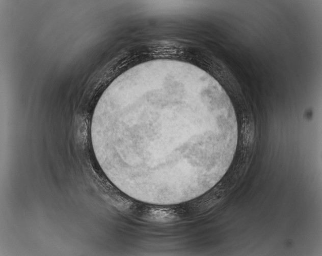 X0000115100753200912081258