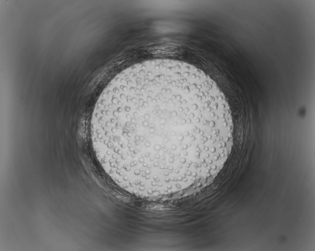 X0000115100755200912081258