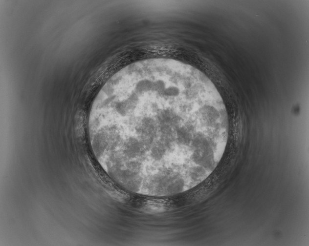 X0000115100757200912081258