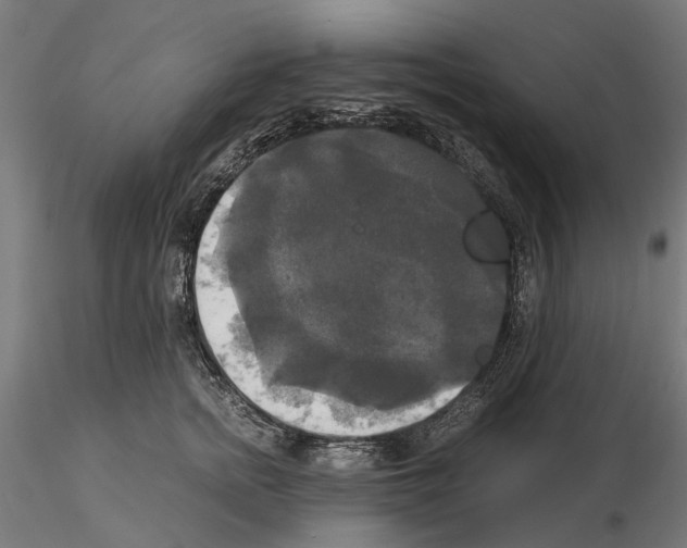 X0000115100758200912081258