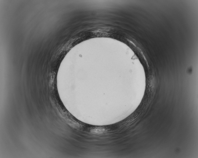 X0000115100759200912081258