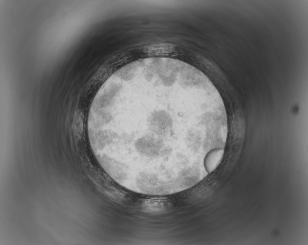 X0000115100761200912081258