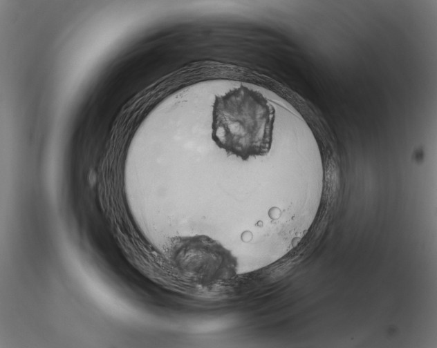 X0000115100765200912081259