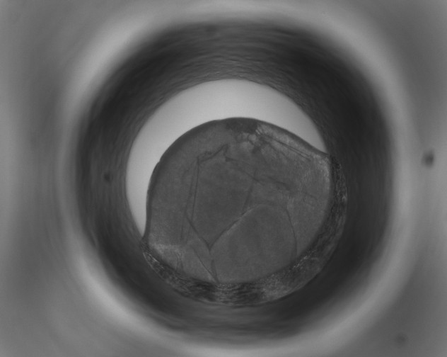 X0000115100766200912081259