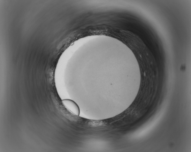 X0000115100767200912081259