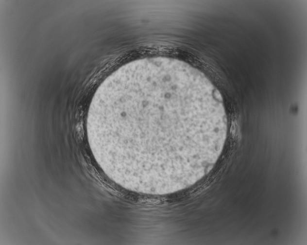 X0000115100771200912081258