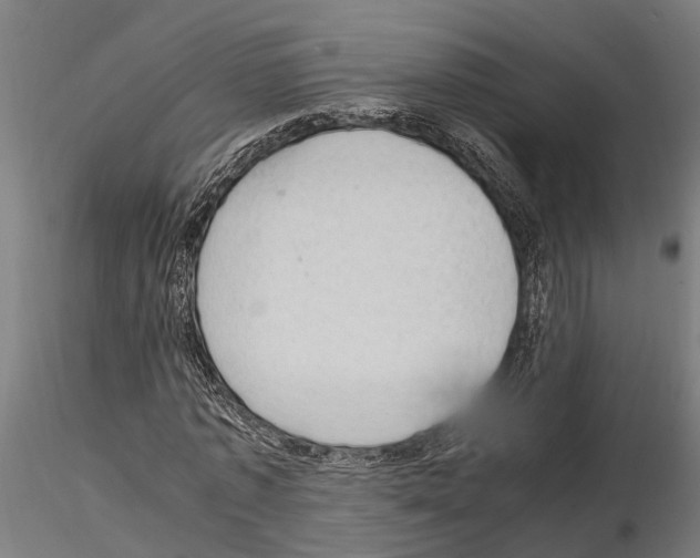 X0000115100773200912081258