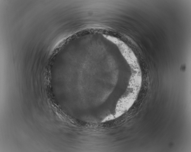 X0000115100775200912081258