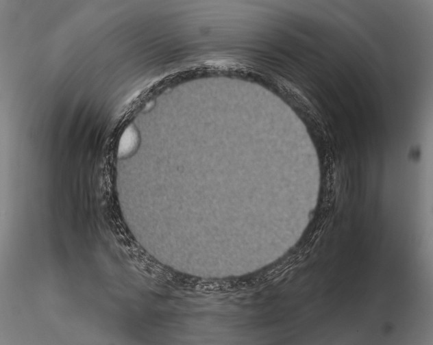 X0000115100776200912081258