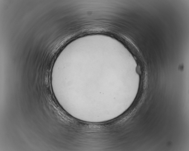 X0000115100777200912081258