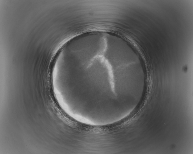 X0000115100779200912081258