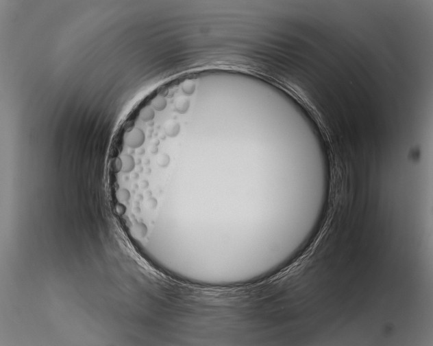 X0000115100780200912081258