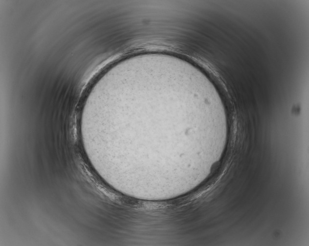 X0000115100782200912081258