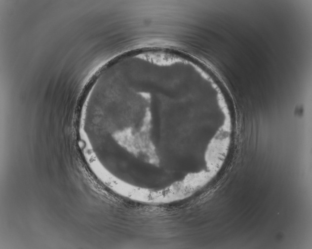 X0000115100783200912081258