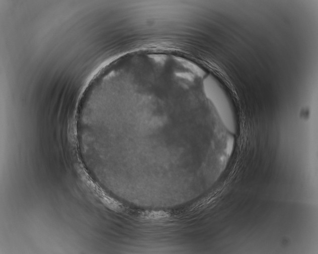 X0000115100784200912081258