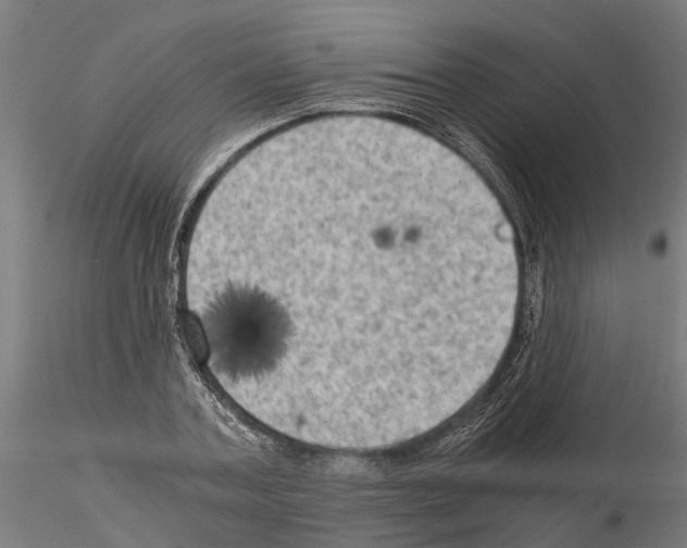 X0000115100787200912081258