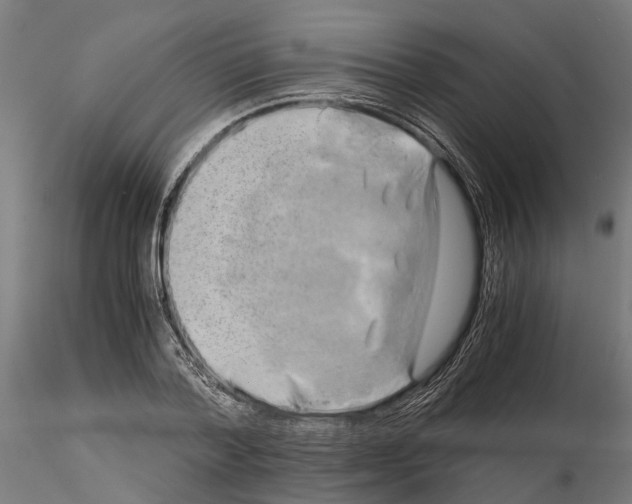 X0000115100788200912081258