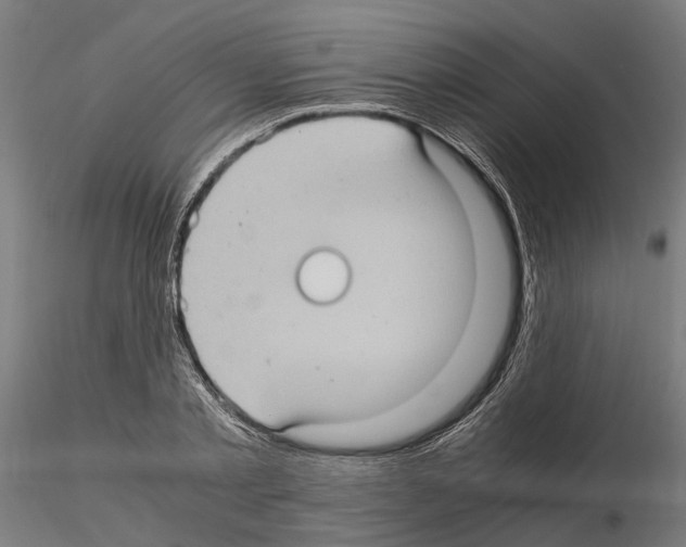 X0000115100789200912081257