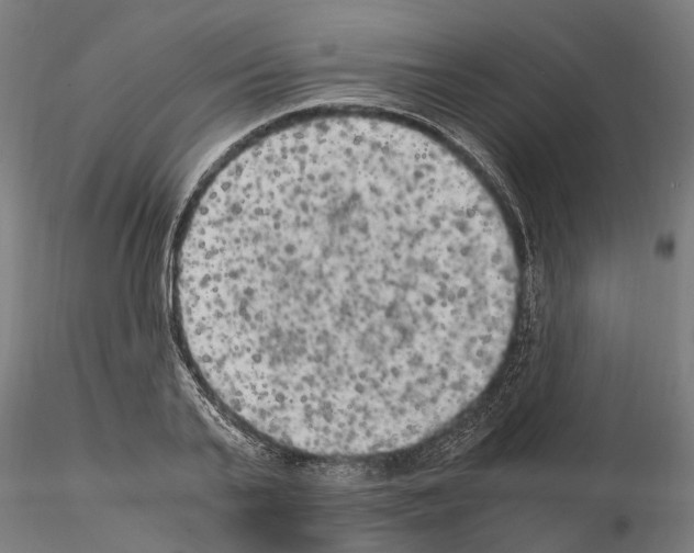 X0000115100791200912081257