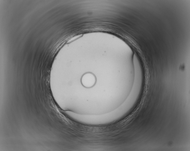 X0000115100793200912081257