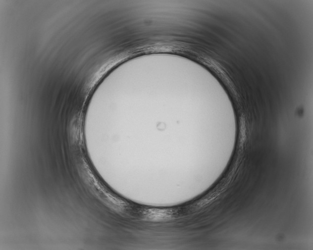 X0000115100794200912081257